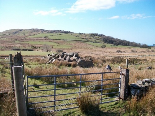 Photo 6x4 modern field - photo,