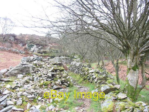 Photo 6x4 field clearance - field,